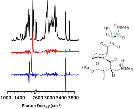  difference spectra revealing positions of local oscillators by site-selective isotopic substitution.
