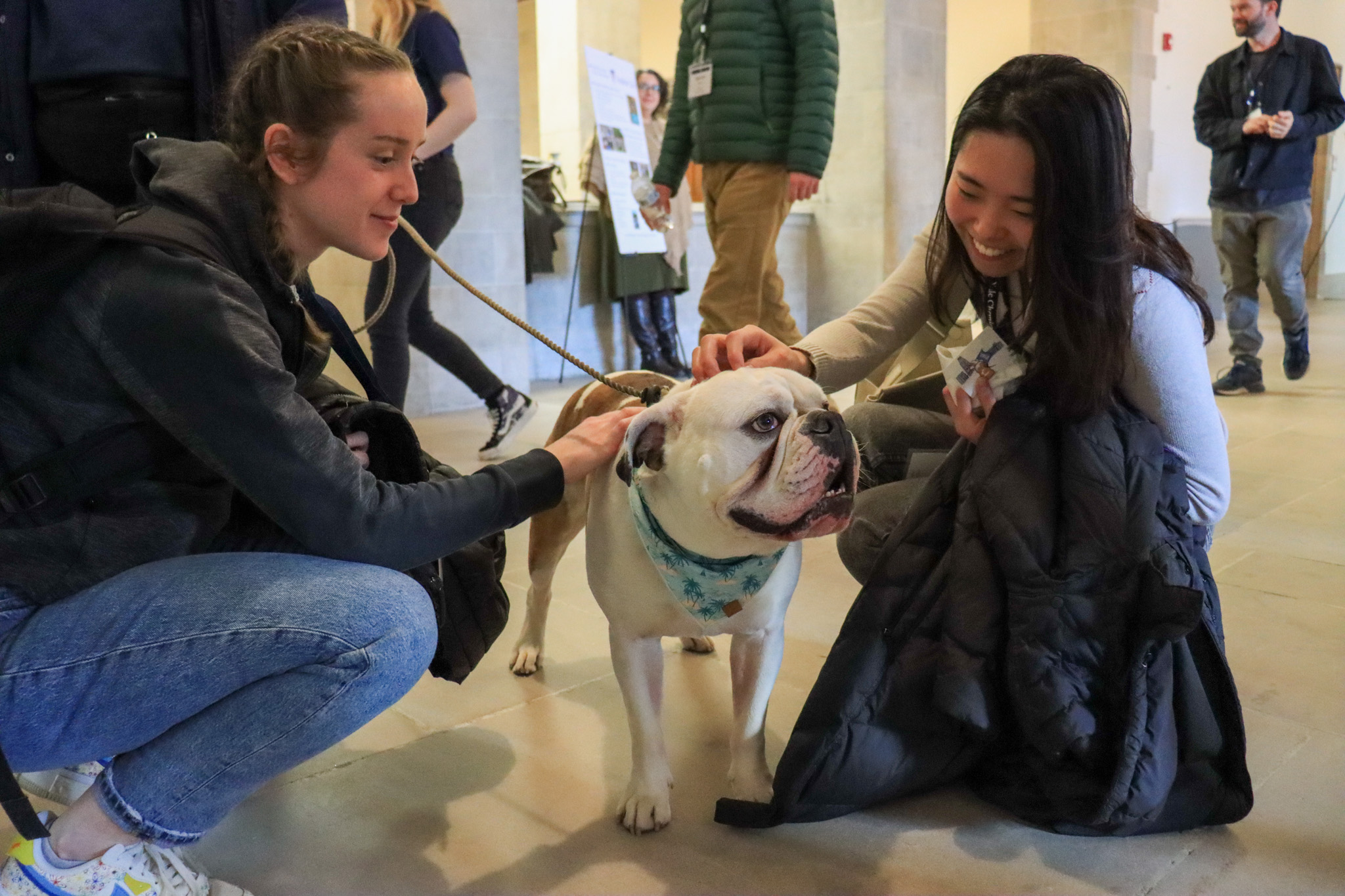 Two women pet bulldog