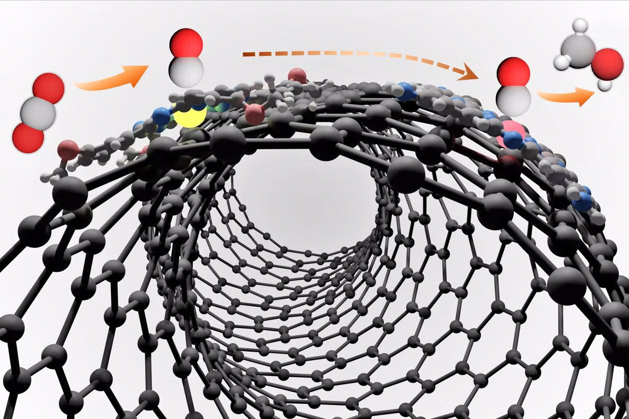 schematic molecules