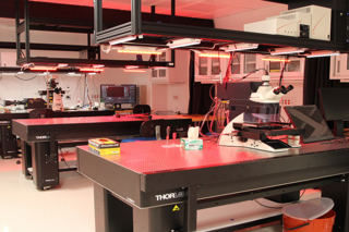 workbench