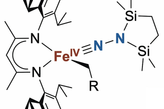 ligands of a compound structure