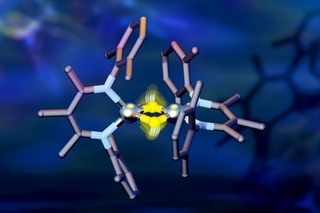 neutrons