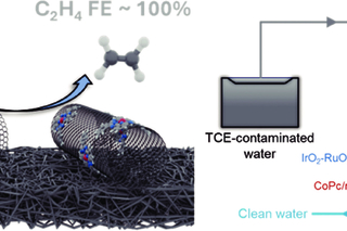 catalysis illustration