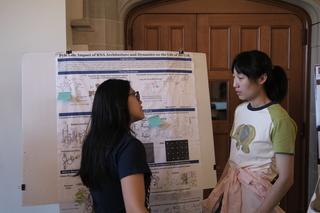 Poster session 