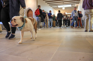 dog walking hallway