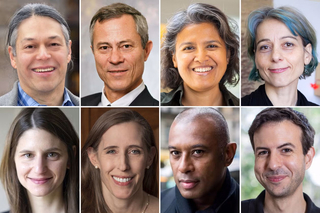 collage of portraits