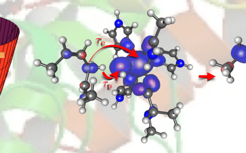 Molecular motifs