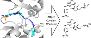 molecular motif