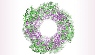 helical antenna of a molecular device