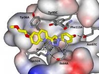 ligands