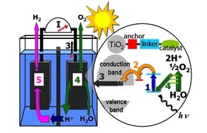 Photocatalytic cell 