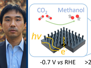 portrait of man infographic