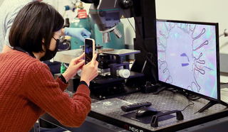 woman photographing computer monitor