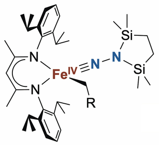 ligands of a compound structure