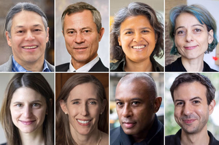 collage of portraits