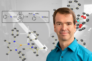 person overlay ligands